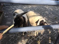 -长白岛森林公园