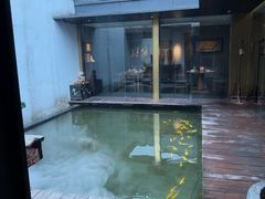-觀芷隐轩