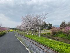 -径山花海
