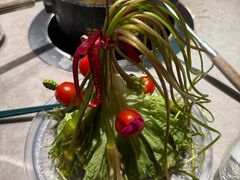 -芸山季·云南山珍菌火锅(宝能环球汇店)