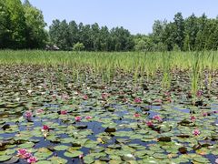 -溱湖国家湿地公园