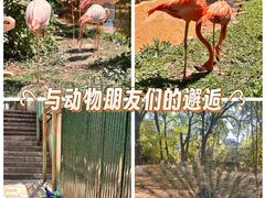 -昆明动物园