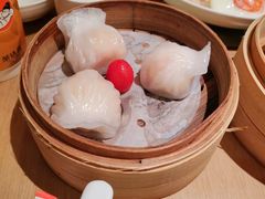 -茶港·点心·啫啫煲(群光广场店)
