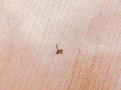-汤里来温泉