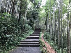 -云栖竹径