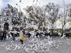 -天津妈祖文化园