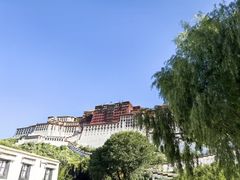 -布达拉宫