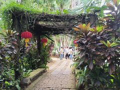 -海南热带野生动植物园