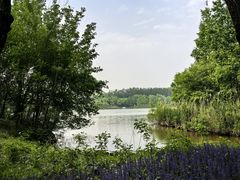 -翠湖国家城市湿地公园