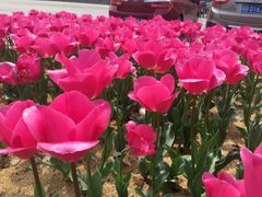 -公益图书馆(江南大学店)