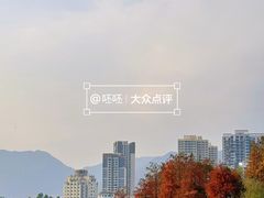 -飞来湖湿地公园