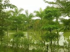 -揭东万竹园旅游景区