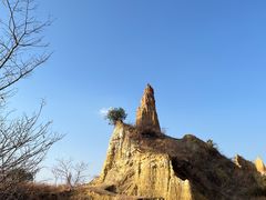 -元谋浪巴铺土林景区