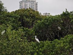 -霞山观海长廊
