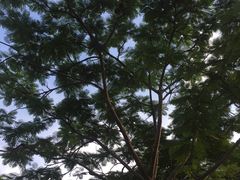 -厦门悦华酒店