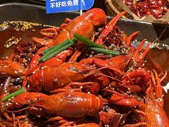 -馋嘴猫北京食堂·烤鸭·宵夜(亚运村店)