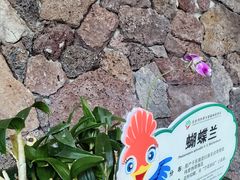 -亚龙湾热带天堂森林公园