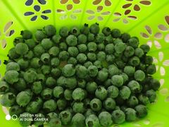 -金谷域澳洲庄园