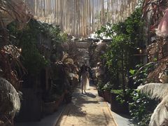 -The Grounds of Alexandria
