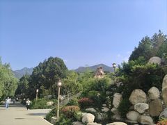 -泰山风景名胜区-虎山公园