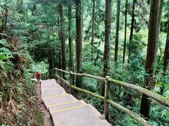-碧峰峡风景区