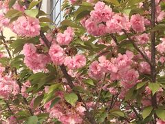 -河南财经政法大学(郑东校区)