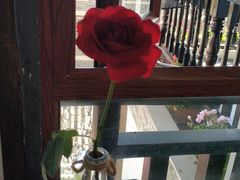 -蘑统田下·野生菌火锅