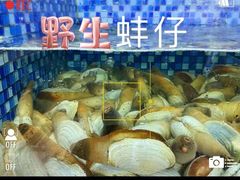 -欧记·龙城港(欣都龙城店)