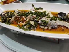 -沪碟·精菜坊(闵行店)
