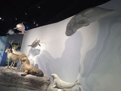 -中国湿地博物馆