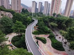 -仙岳公园
