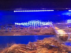 -阿伟海鲜楼·福建菜(延寿店)