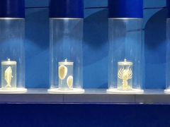 -福州罗源湾海洋世界旅游区