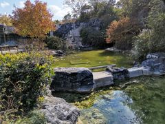 -上海吴淞炮台湾国家湿地公园