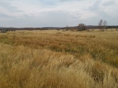 -塞罕坝国家级自然保护区