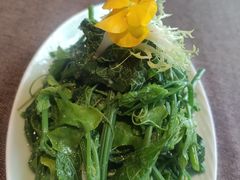 -樽宴酒楼·地道川菜·品质宴请