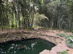 -兰亭风景区