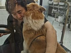 -宠小格时尚宠物生活馆(唐镇店)