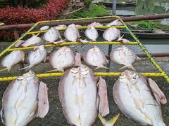 -东钱湖旅游度假区