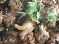 -庆岭迎宾园正宗活鱼馆