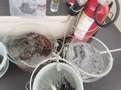 -小猫钓鱼海钓俱乐部(椰梦长廊店)