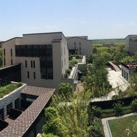 -上海崇明金茂凯悦酒店