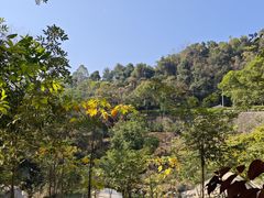 -火炉山森林公园