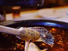 -费明中罗非鱼(大石坝店)