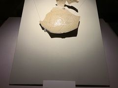 -台州博物馆