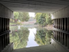 -动邦皮划艇·桨板·独木舟·团建户外运动俱乐部