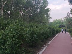 -黛秀湖公园