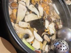 -滇野云南野生菌餐厅(陕西南路店)