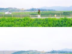 -光明小镇欢乐田园