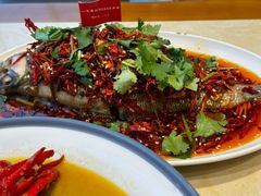 -杨氏青龙虾·羊蝎子(珠江路店)